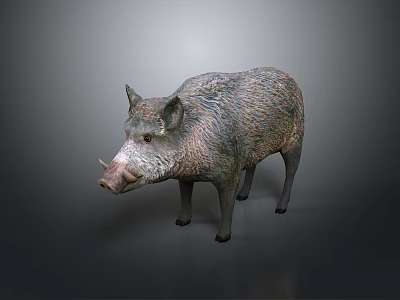 Realistic Wild Boar Sculpture In Standing Pose With Detailed Texture On Gray Background 3d model