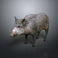 Realistic Wild Boar Sculpture In Standing Pose With Detailed Texture On Gray Background