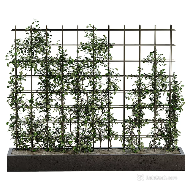 Vertical Green Wall With Grid Structure And Lush Climbing Plants In Concrete Planter 3d model 