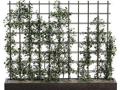 Vertical Green Wall With Grid Structure And Lush Climbing Plants In Concrete Planter 3d model