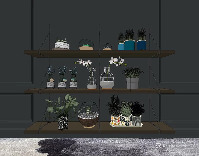Indoor Decorative Potted Plants On Wooden Shelves With Various Glass Containers And Pots 3d model 