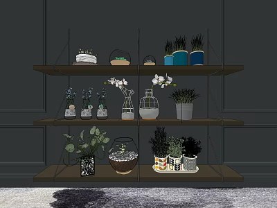 Indoor Decorative Potted Plants On Wooden Shelves With Various Glass Containers And Pots 3d model