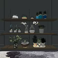 Indoor Decorative Potted Plants On Wooden Shelves With Various Glass Containers And Pots