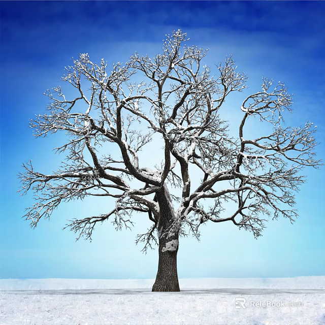 Leafless Deciduous Tree With Snow Covered Branches Against Blue Sky and Snowy Ground 3d model 