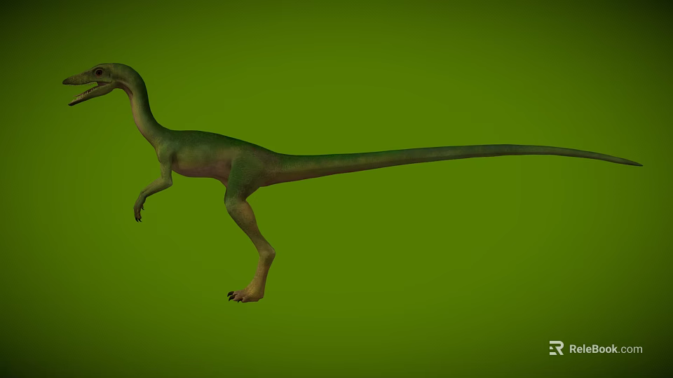Realistic Green Dinosaur Model with Slender Body Long Tail Walking Posture on Green Background 3d model 