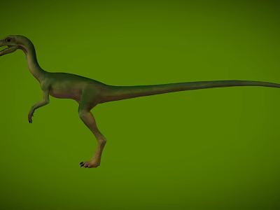 Realistic Green Dinosaur Model with Slender Body Long Tail Walking Posture on Green Background 3d model