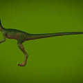 Bird-like Dragon Hunting Dragon Velociraptor Chinese Dragon Bird Microraptor Dinosaur Jurassic Low Face Number Low Model Simple Model Game Movie Level Super Realistic 3d model
