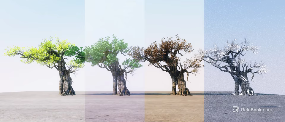 Arbor Trees Display Seasonal Foliage Changes From Spring to Winter Stages 3d model 