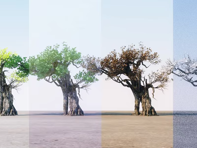 Arbor Trees Display Seasonal Foliage Changes From Spring to Winter Stages 3d model