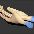 3D Hand Model With Yellow Nails Holding Small Blue Object In Palm