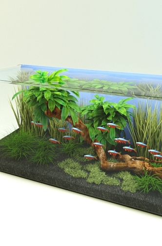 Fish tank 3d model