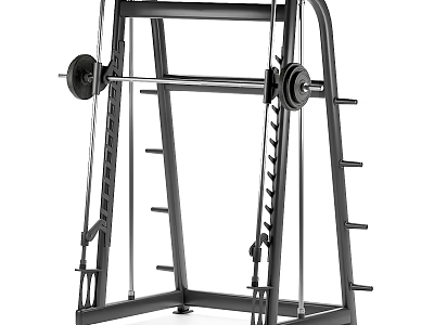 Home Gym Multi Functional Training Rack With Barbell And Cable System 3d model