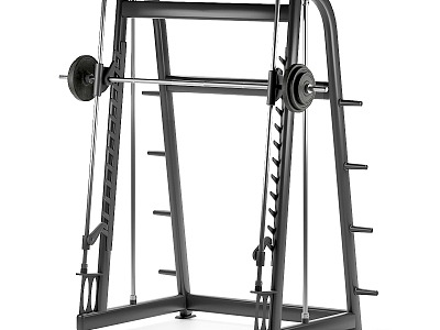 Fitness Equipment model