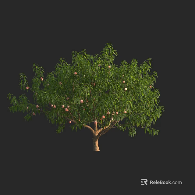 Lush Fruit Tree With Dense Green Leaves And Plentiful Ripe Fruits 3d model 