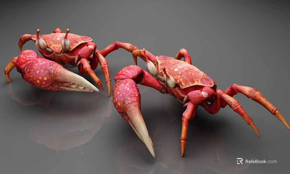 Red Crabs 3D Model With Large Claws On Gray Reflective Surface 3d model 