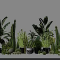 Various Types of Green Potted Plants with Different Planters for Indoor Decoration