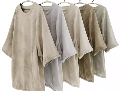 Loose Fit Short Sleeve Casual Tops With Soft Fabric And Neutral Tones Hanging On 3d model