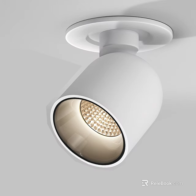 White Modern Ceiling Mounted Downlight Spotlight With LED Light Source And Adjustable Angle 3d model