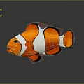 Realistic Clownfish With Orange White Stripes And Black Edges In 3D Rendering