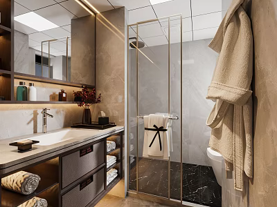 Modern Bathroom Interior With Glass Shower Enclosure Marble Countertop And Storage Cabinets 3d model