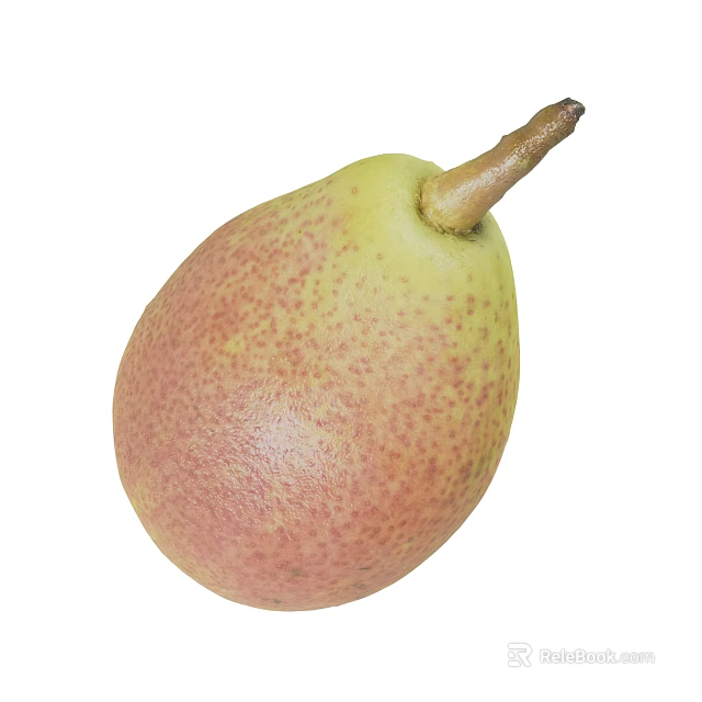 Fresh Speckled Pear With Yellow Green And Pink Skin And Brown Stem 3d model 