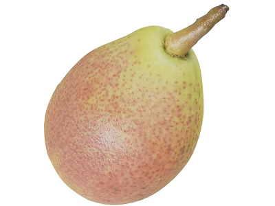 Fresh Speckled Pear With Yellow Green And Pink Skin And Brown Stem 3d model