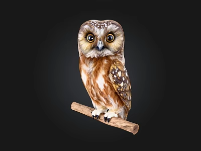Owl Perched On Wooden Branch With Brown White Feathers And Large Eyes 3d model