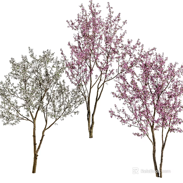 Three Arbor Trees Featuring Pink Blossoms Green Foliage And Diverse Branch Shapes 3d model 