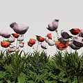 Beautiful Red And Purple Flowers With Green Leaves In Lush Grassland Garden