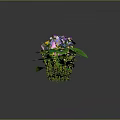 Colorful Plant Bouquet With Purple Pink Yellow Flowers And Green Leaves