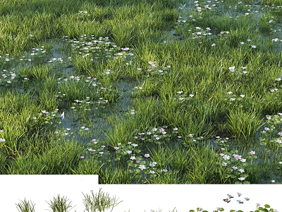 Green Grass and White Flowers Thriving in Natural Wetland Pond Environment 3d model