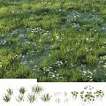 Modern Grassland Lawn Sod Water Grass Wetland Butterfly 3d model