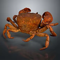 Detailed Brown Aquatic Crab With Large Claws And Segmented Body