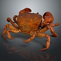 crab sea crab river crab hairy crab bread crab hermit crab big crab small crab marine animal fish 3d model