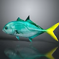 Vibrant Turquoise and Yellow Fish With Shiny Body on Gray Background and Clear Reflection