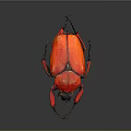 Vibrant Red Beetle With Black Head And Legs On Dark Background