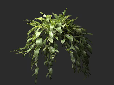 Hanging Basket Plant with Lush Green Trailing Leaves for Indoor Decoration 3d model