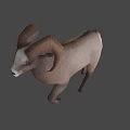 Brown Ram With Large Curved Horns Walking In Natural Outdoor Setting