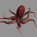 Red Octopus Marine Creature With Long Tentacles On Gray Background 3d model