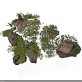 Modern Rock Garden Landscape With Various Plants And Green Mossy Stones