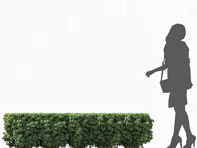 Lush Green Bush With Silhouette Of A Woman Walking With Handbag And High Heels 3d model