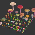 Various Colorful Mushrooms With Different Shapes And Sizes Arranged On Black Background