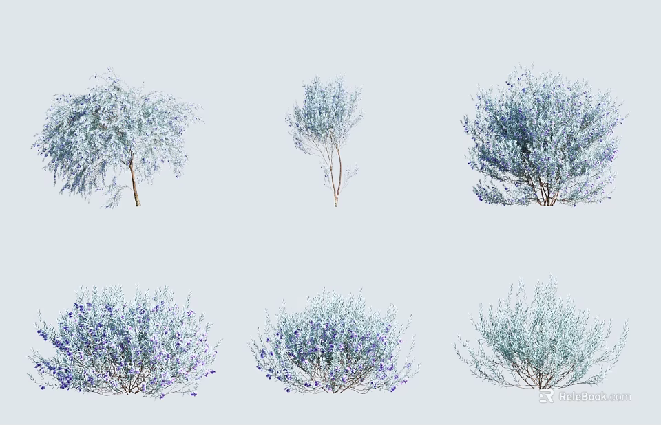 Various Ornamental Trees with Different Foliage and Purple Flowers for Landscaping 3d model 
