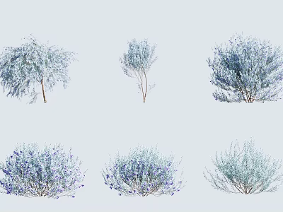Various Ornamental Trees with Different Foliage and Purple Flowers for Landscaping 3d model