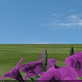 Vibrant Purple Flowers Blooming On Circular Green Grass With Gray Square Tiles