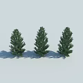 Three Green Evergreen Trees Standing on Light Gray Background with Shadows