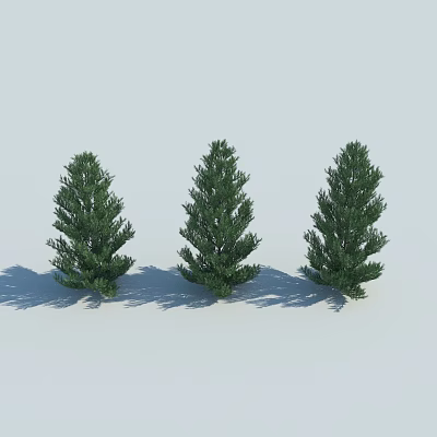 Three Green Evergreen Trees Standing on Light Gray Background with Shadows 3d model