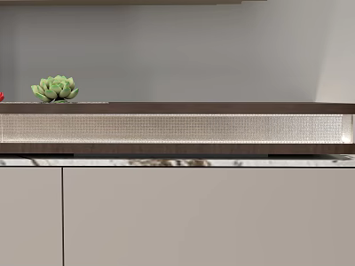 Modern Gray TV Stand With Silver Grille Panel And Small Green Succulent Plant 3d model