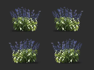 Vibrant Purple Flower Plants With Lush Green Leaves And Fresh Botanical Foliage 3d model