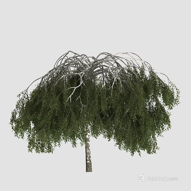 Lush Green Arbor With Dense Foliage And Spreading Canopy Shape 3d model